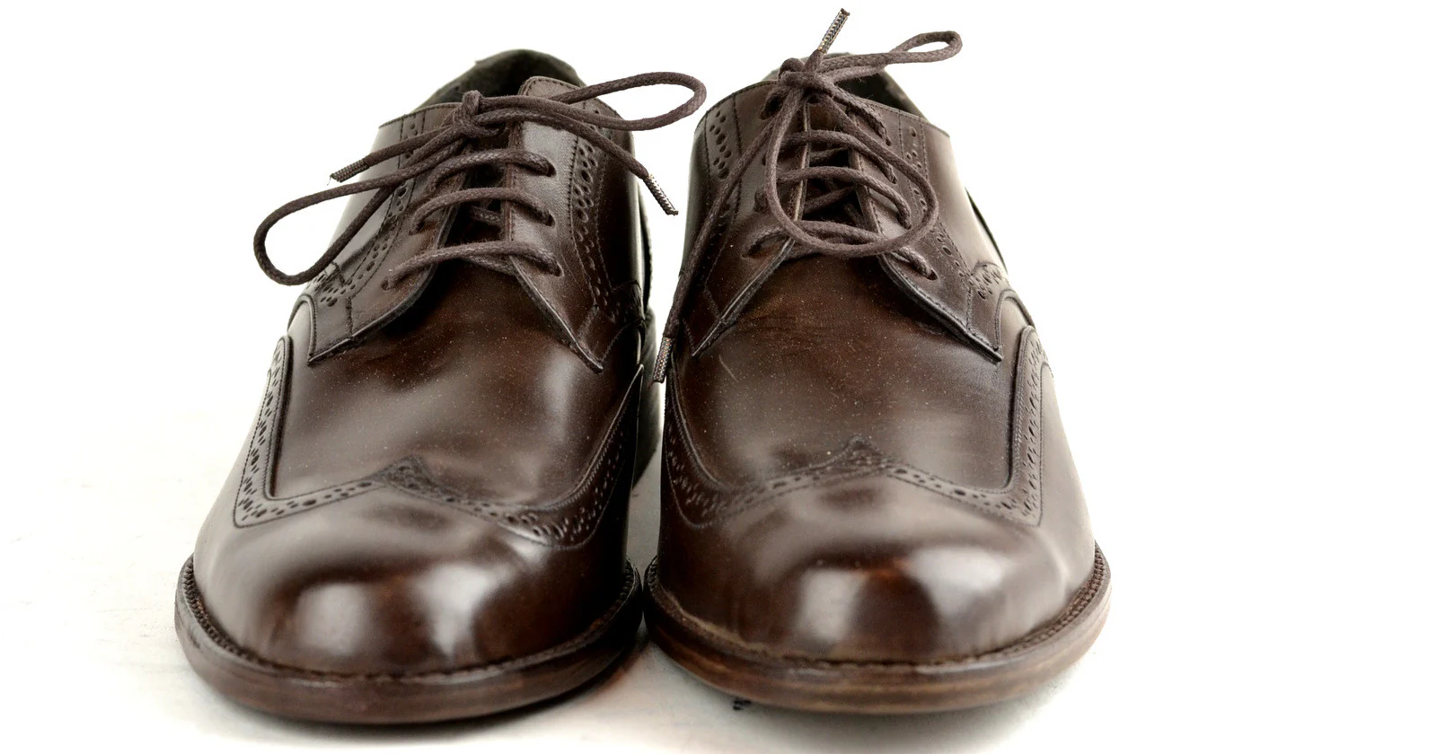 Wingtip Derby Brogue  |  Choc cordovan - Image 5